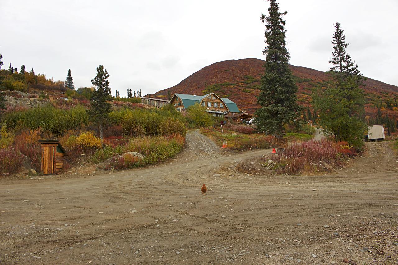 Alpine Creek Lodge Cantwell Kültér fotó